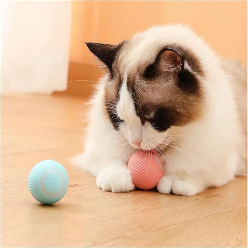 Interactive USB Rechargeable Moving Ball Toy for Dogs & Cats