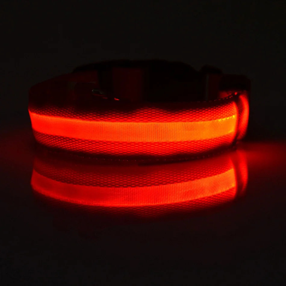 Collar de perro LED para paseos nocturnos