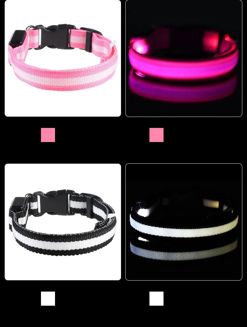 Collar de perro LED para paseos nocturnos