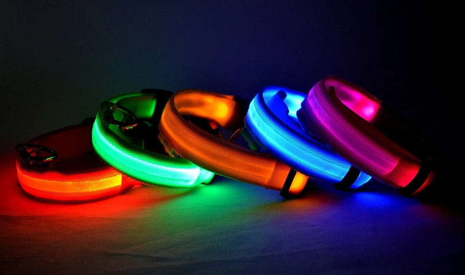 Collar de perro LED para paseos nocturnos