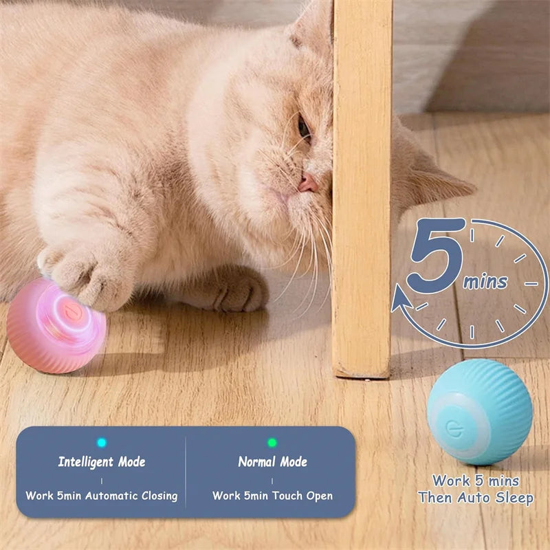 Interactive USB Rechargeable Moving Ball Toy for Dogs & Cats