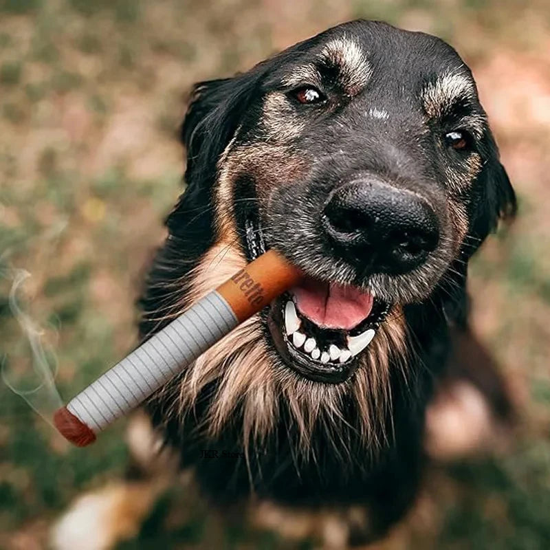 Funny Cigarette-Design Plush Toy for Dogs – Squeaky Chew Toy
