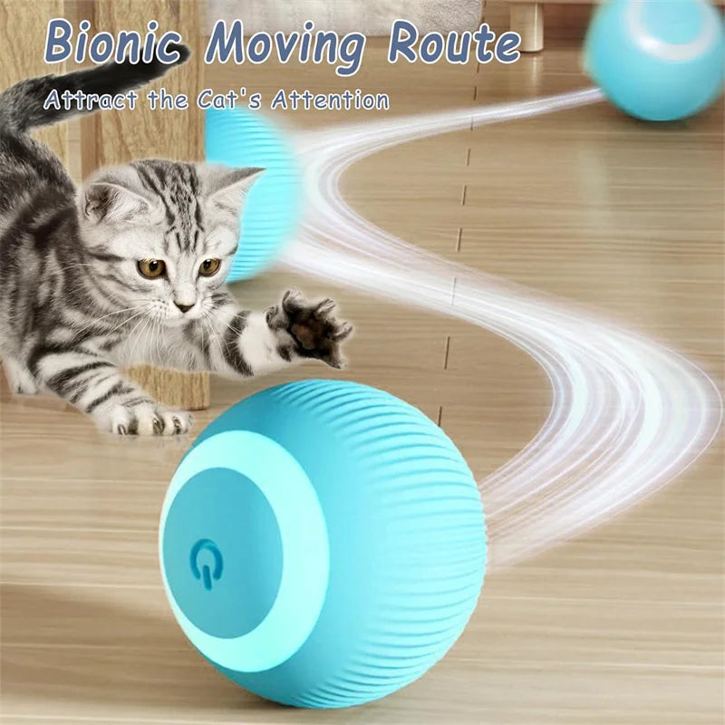 Interactive USB Rechargeable Moving Ball Toy for Dogs & Cats