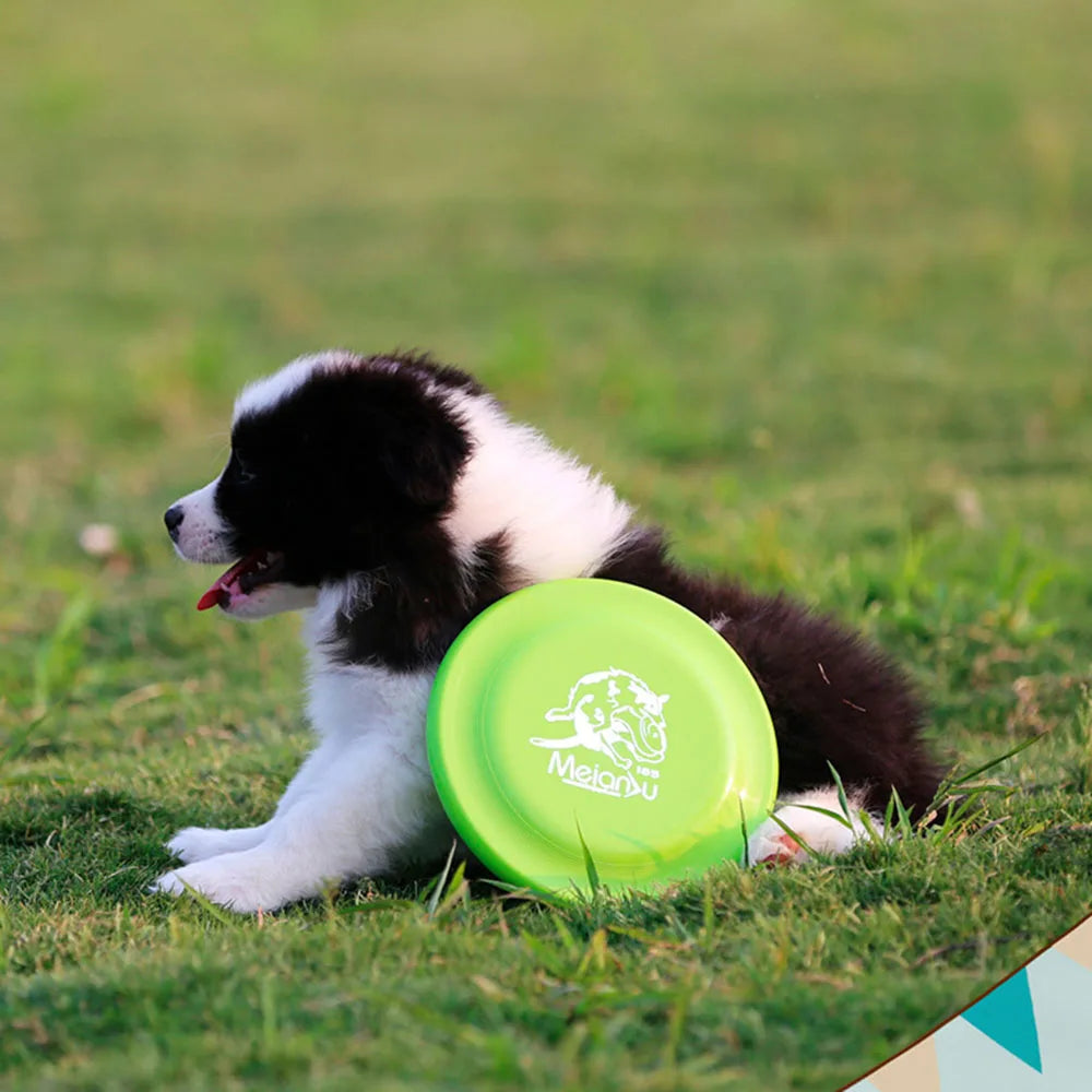 Lightweight Dog Training Disc – Durable Fetch Toy for Puppies & Adult Dogs