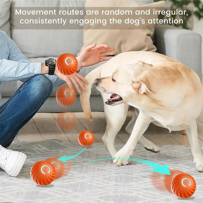 Interactive USB Rechargeable Moving Ball Toy for Dogs & Cats