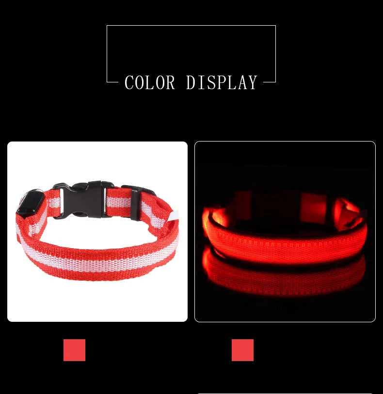 Collar de perro LED para paseos nocturnos